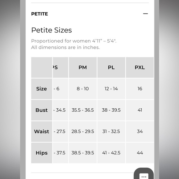 Talbots womens skirt 10 MP petite stretch knee pattern blue pink business casual - Picture 8 of 8